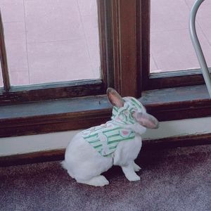 Meet your Posher, Leon